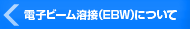�����炢�H�Ɗ�����ЁF�d�q�r�[���iEBW�j